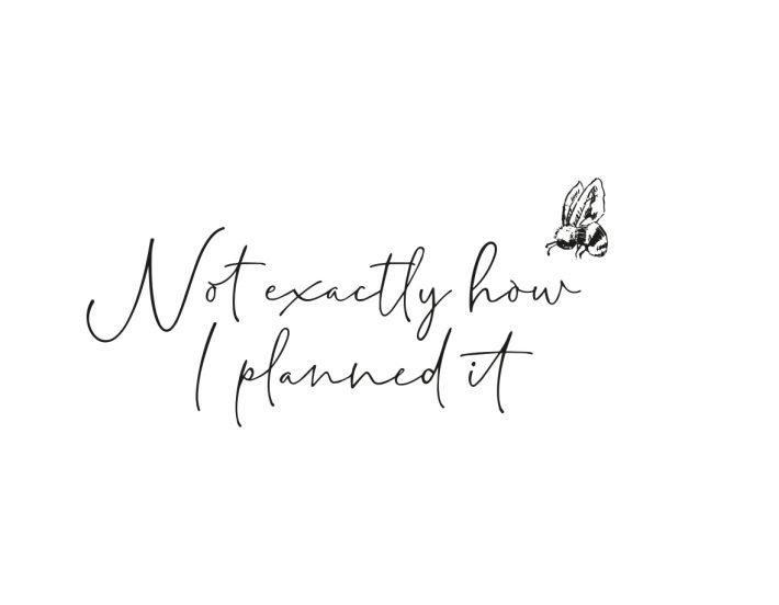 Not exactly how I planned it